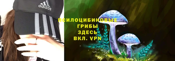 соль ск Алзамай